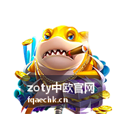 zoty中欧官网线下沙龙参与者分组讨论现场